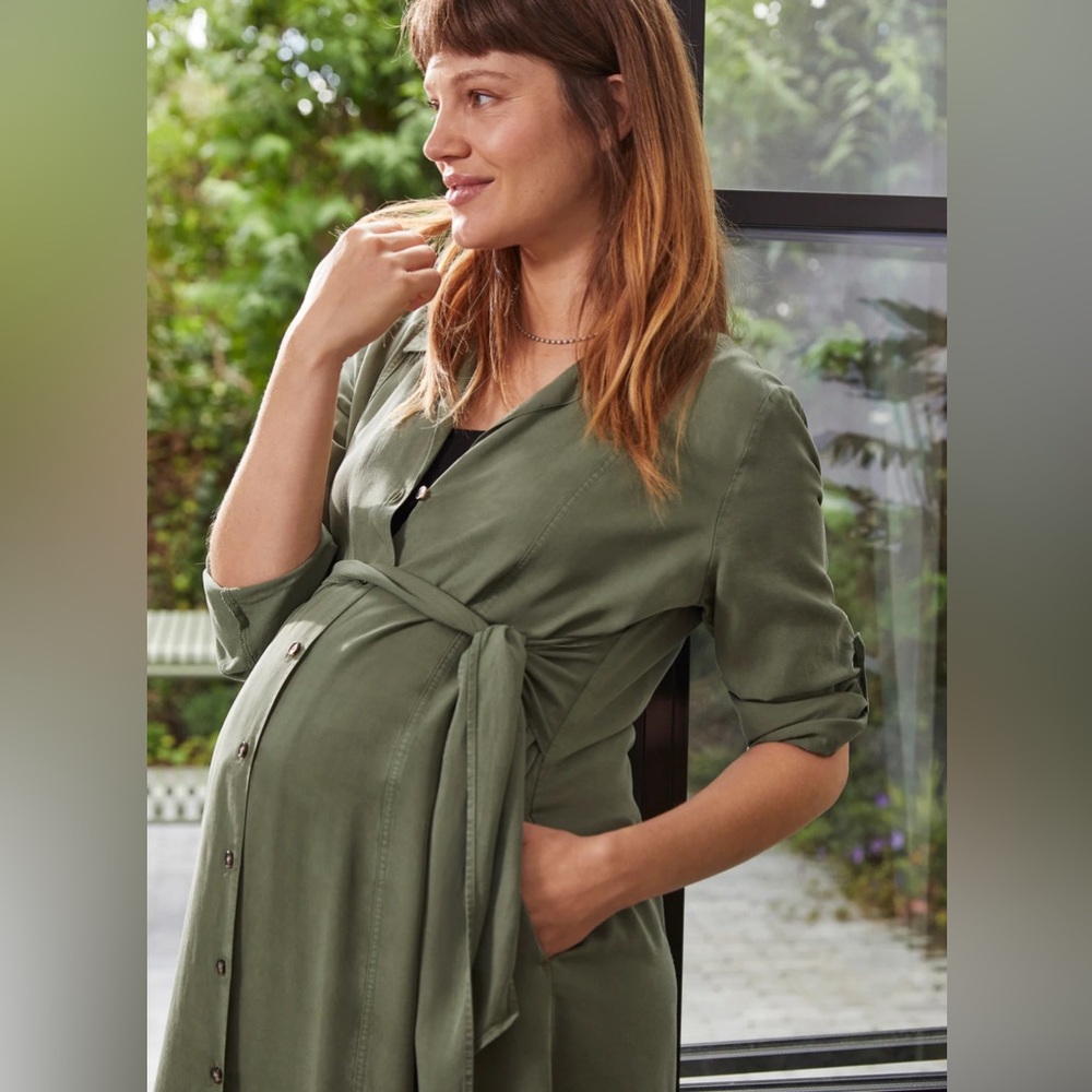 Isabella Oliver Kelsy Dress